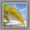 Atoll beach-4