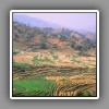Himalaya landscape