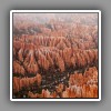 Bryce Canyon NP (4)