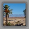 15 Palms and Atlas mountains