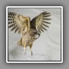 Blakinston´s Fish Owl (4)