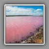 Pink lake